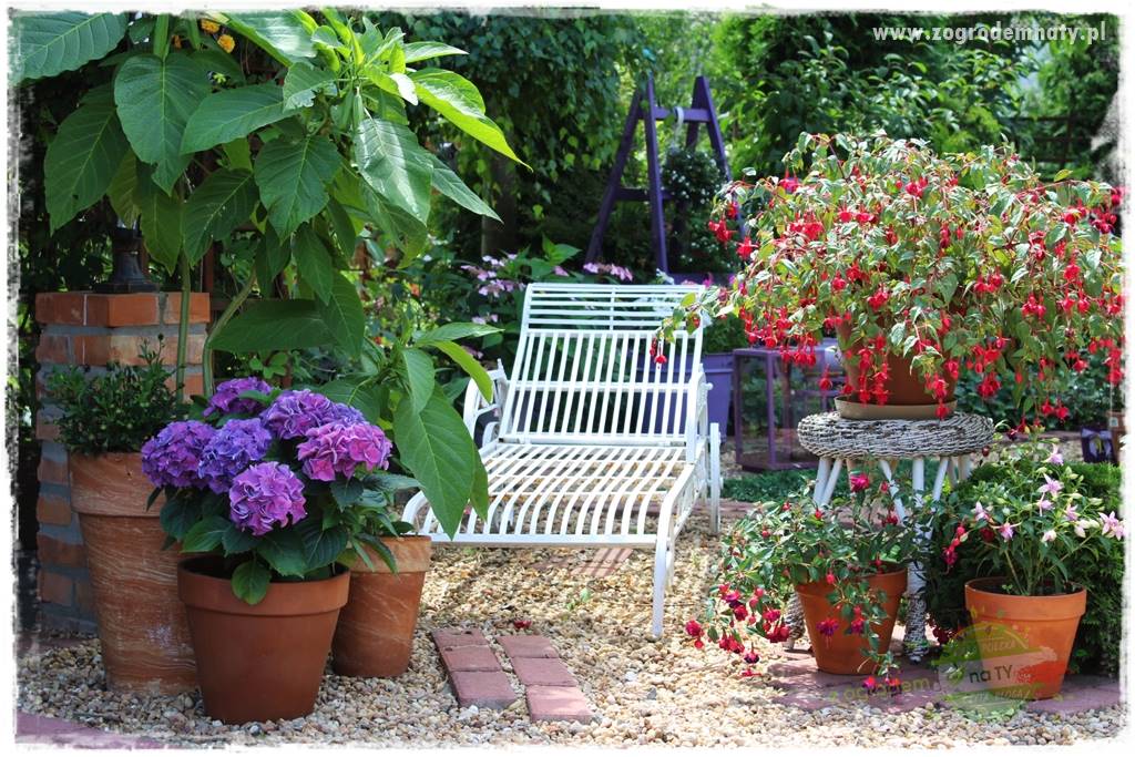 Nawożenie na kwitnienie 4