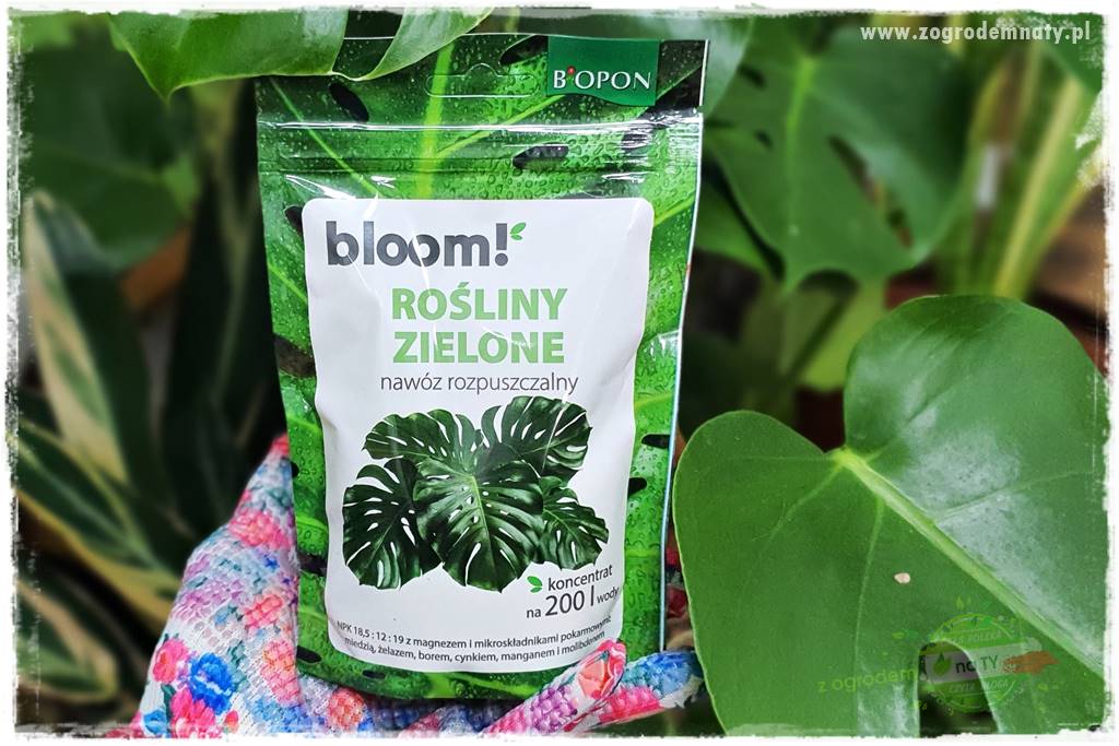 Nawożenie na kwitnienie 41