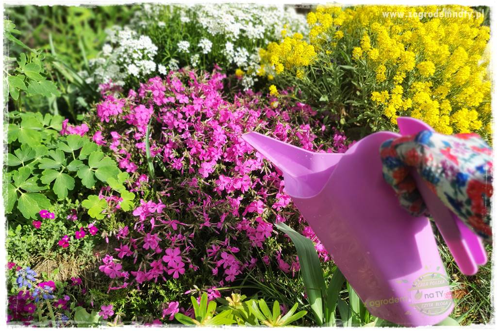 Nawożenie na kwitnienie 44