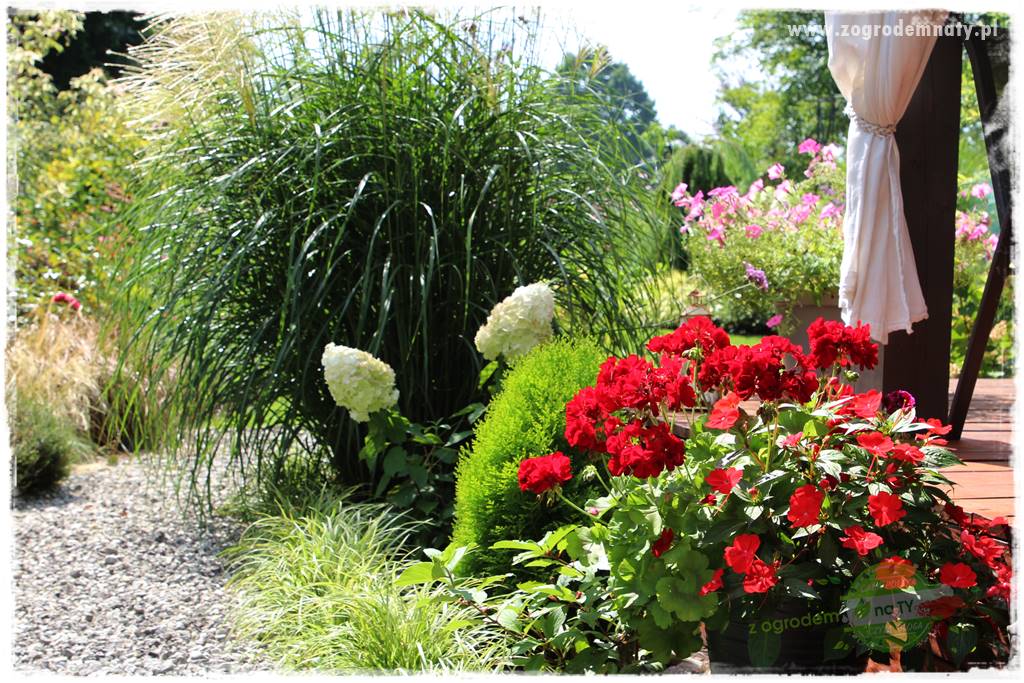 Nawożenie na kwitnienie 47