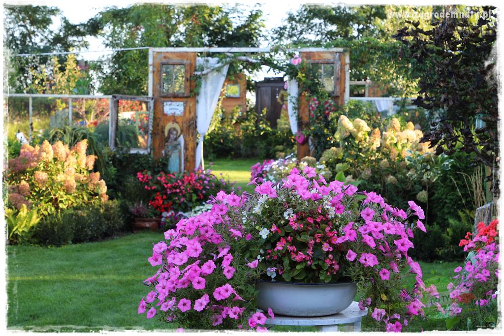 Nawożenie na kwitnienie 7