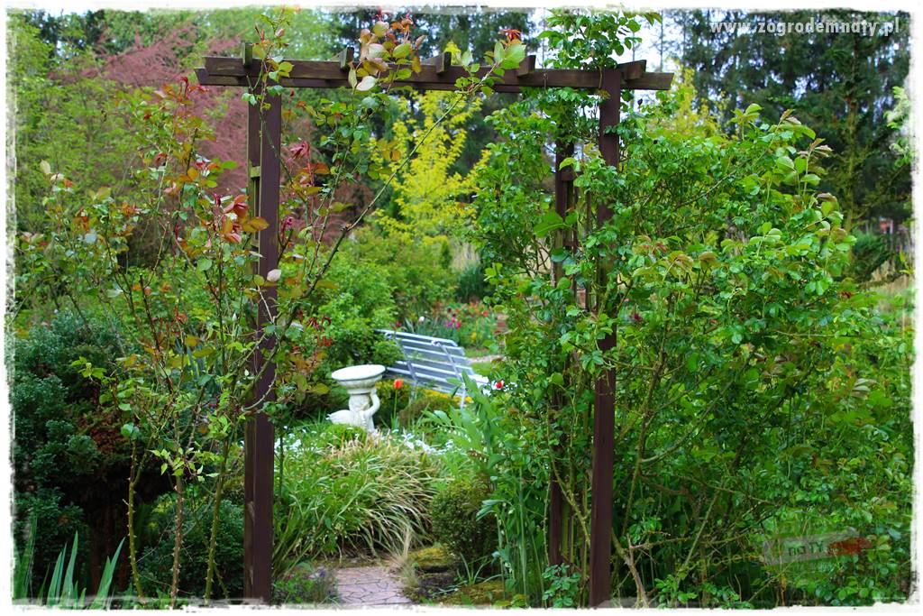 Nawożenie na kwitnienie 9