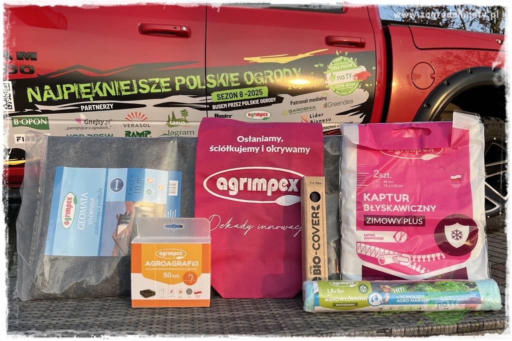 Paprociowy ogród 102