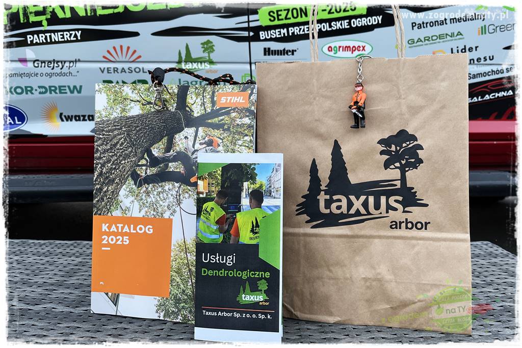 Paprociowy ogród 111