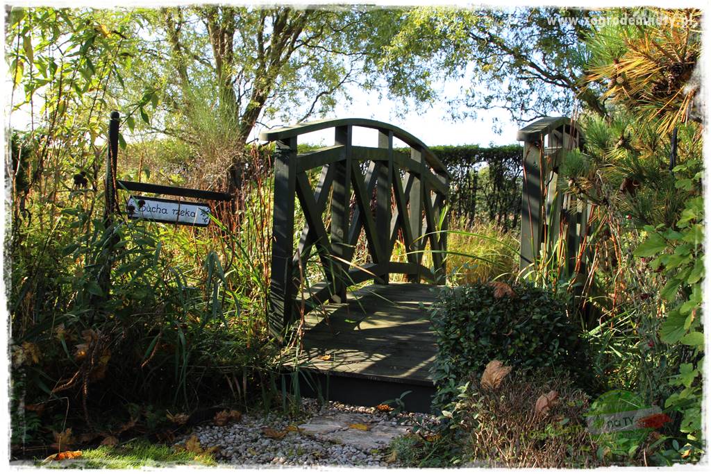 Rośliny na podmokły teren 4