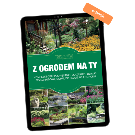 Rośliny na podmokły teren 7a