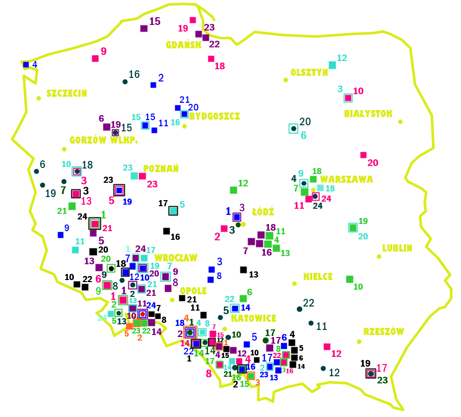 azalie w ogrodzie 13