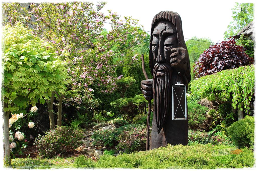 azalie w ogrodzie 17 azalie w ogrodzie 17