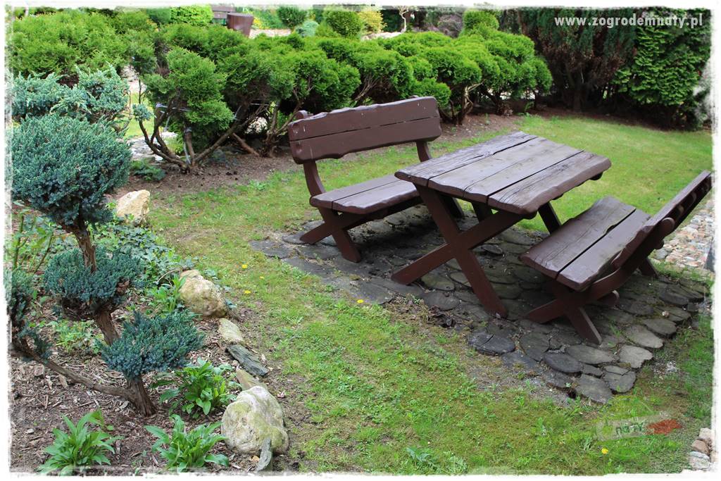 azalie w ogrodzie 430 azalie w ogrodzie 430