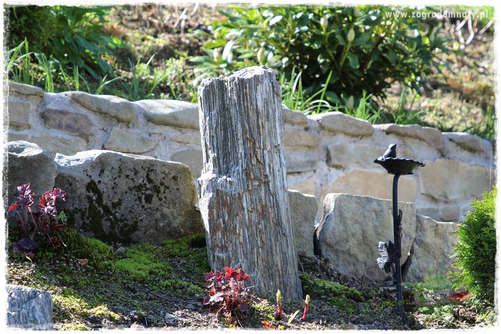 ogród na skarpie 106