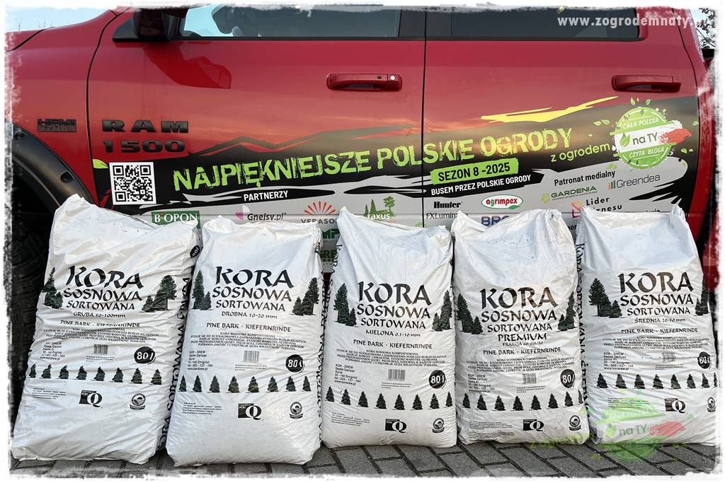 ogród na skarpie 108