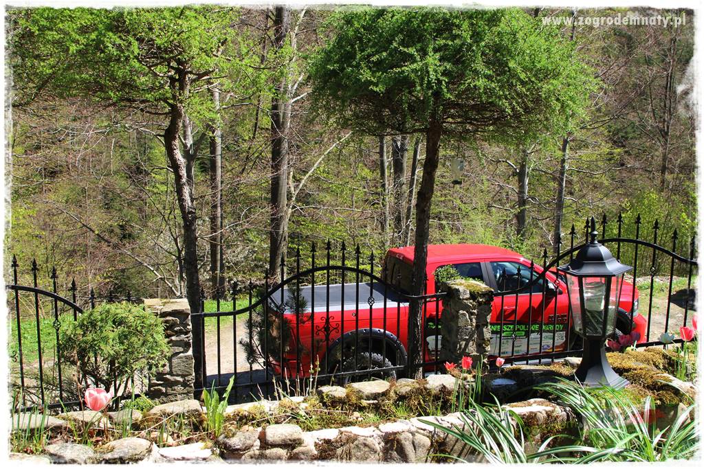 ogród na skarpie 13