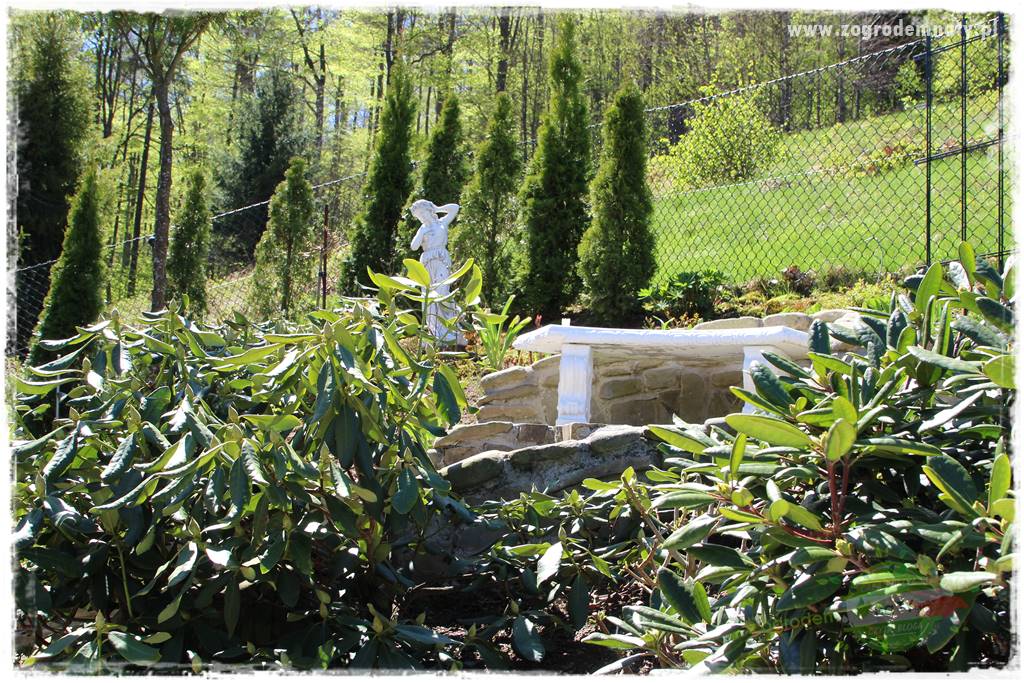 ogród na skarpie 15