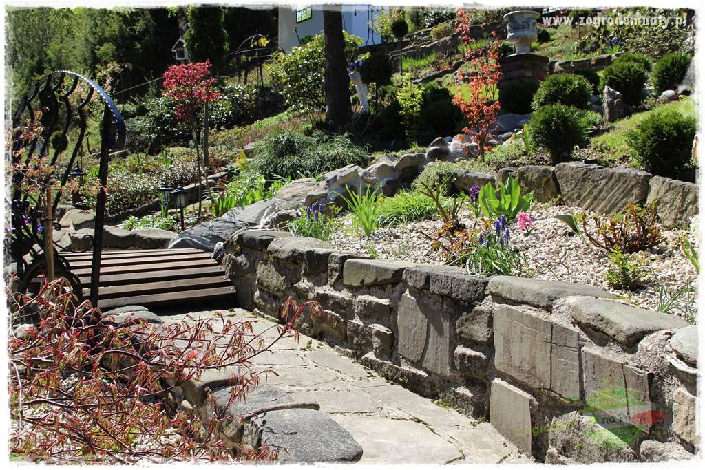 ogród na skarpie 16