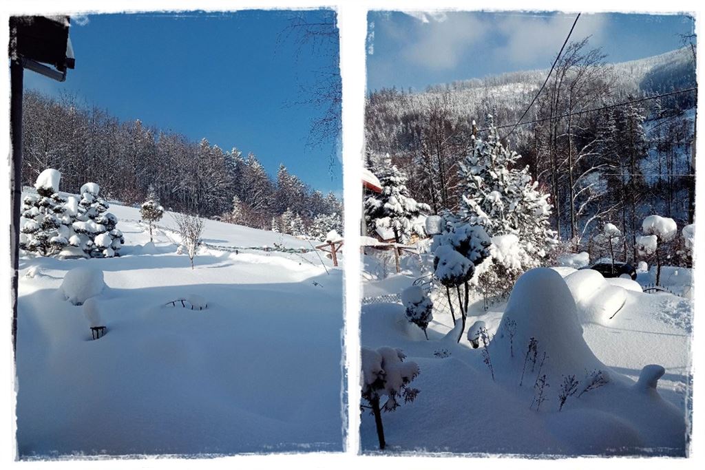 ogród na skarpie 17