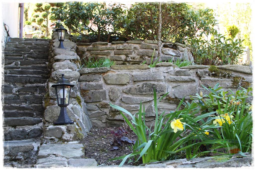 ogród na skarpie 19