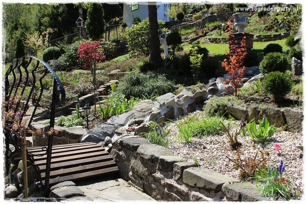 ogród na skarpie 2