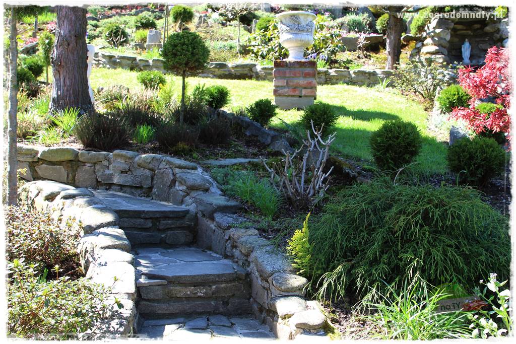 ogród na skarpie 20