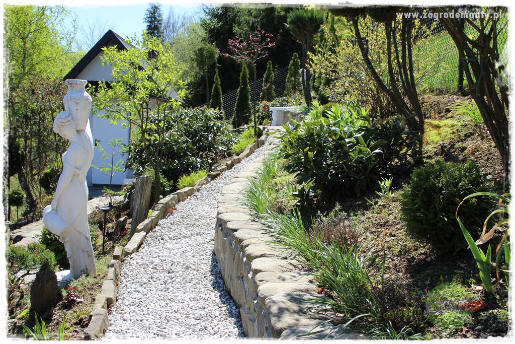 ogród na skarpie 3