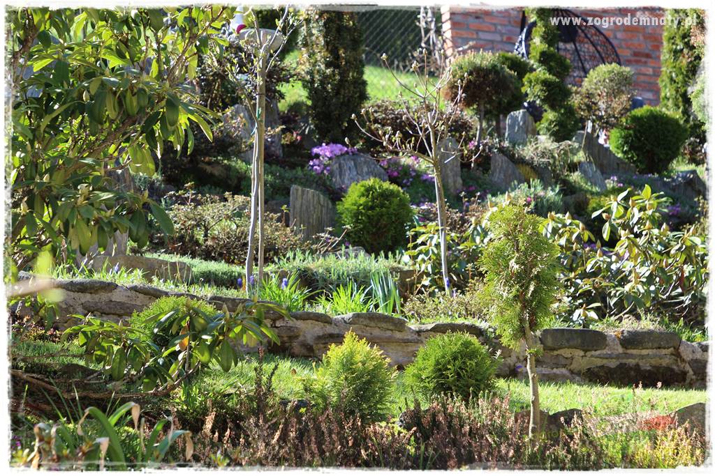 ogród na skarpie 30