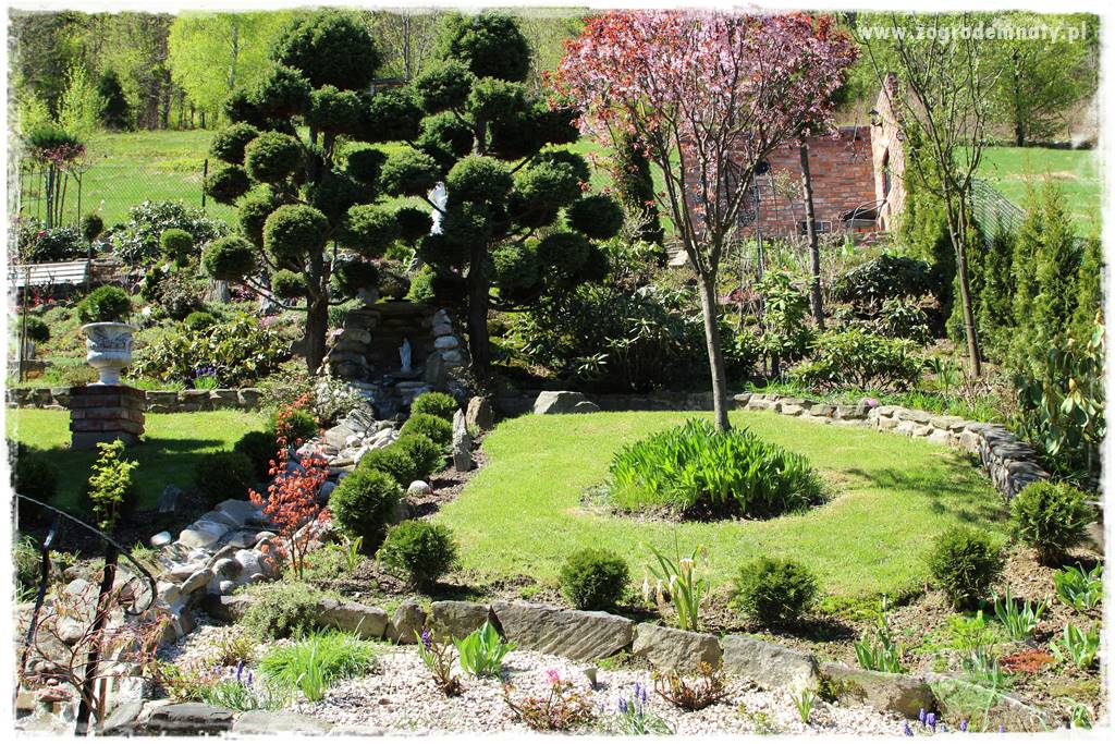 ogród na skarpie 300