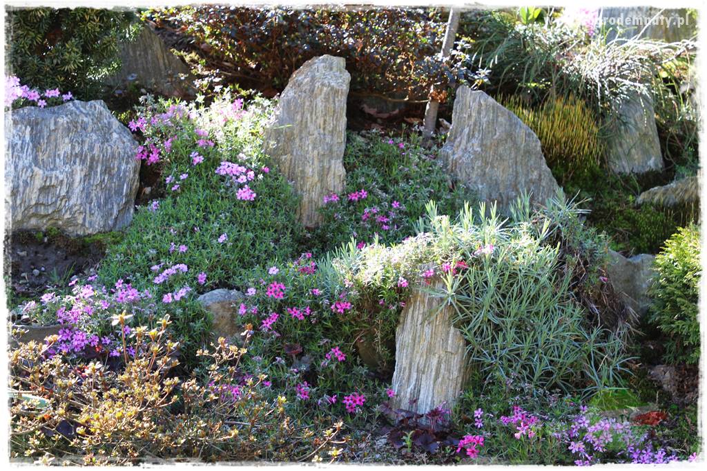 ogród na skarpie 304