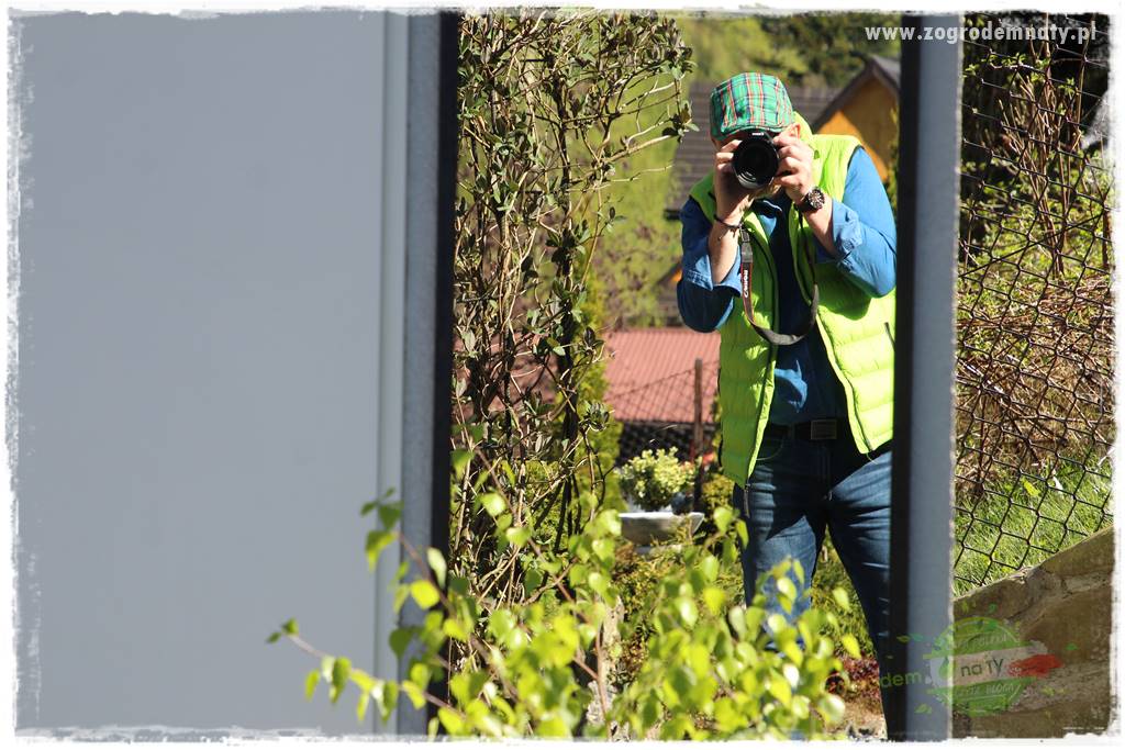 ogród na skarpie 305