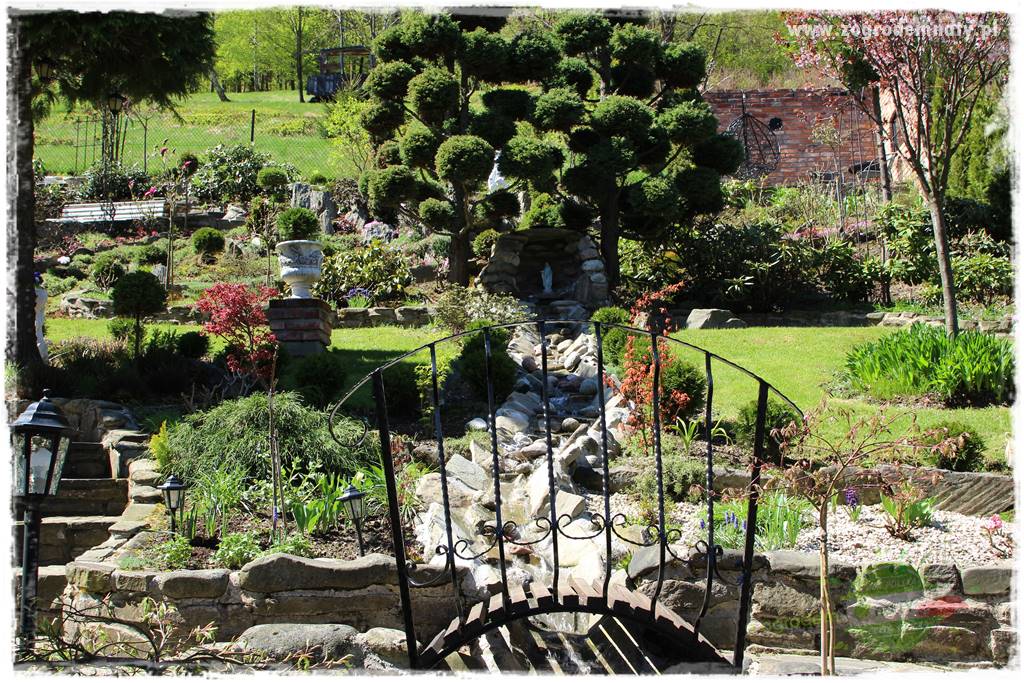 ogród na skarpie 308