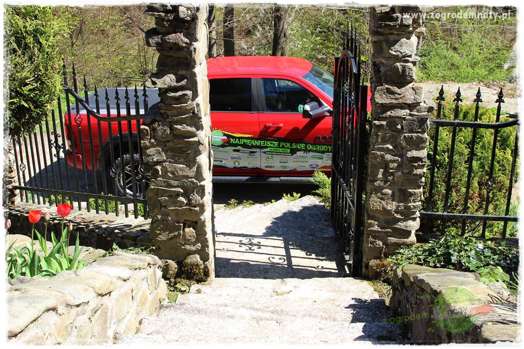 ogród na skarpie 311