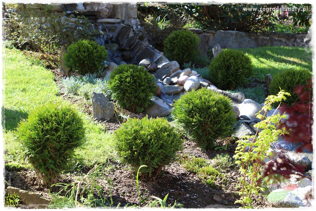 ogród na skarpie 314