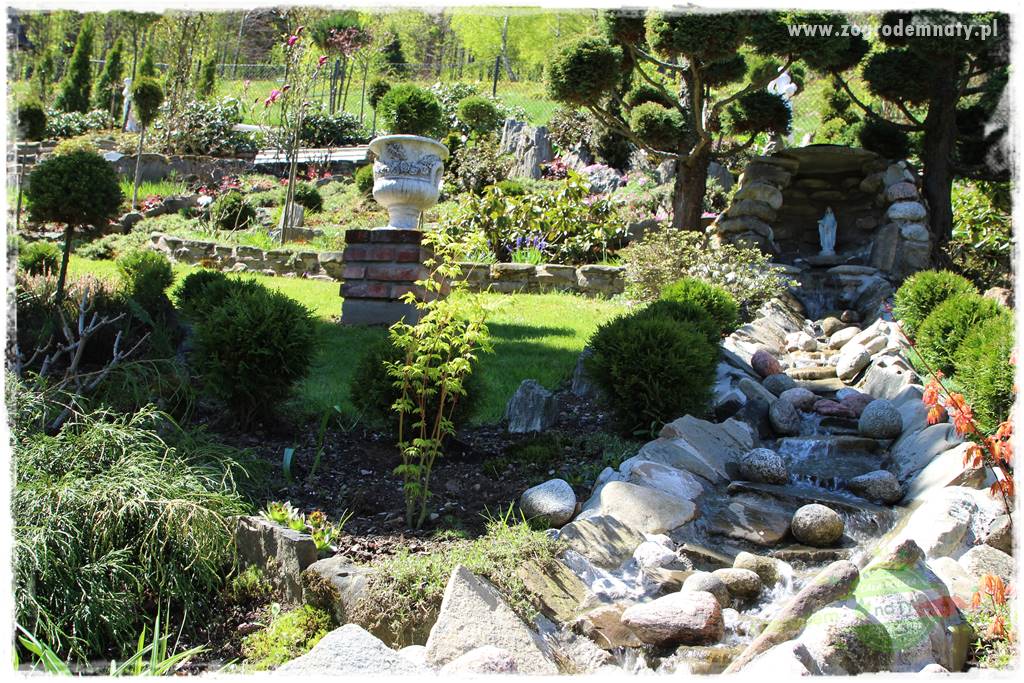 ogród na skarpie 315