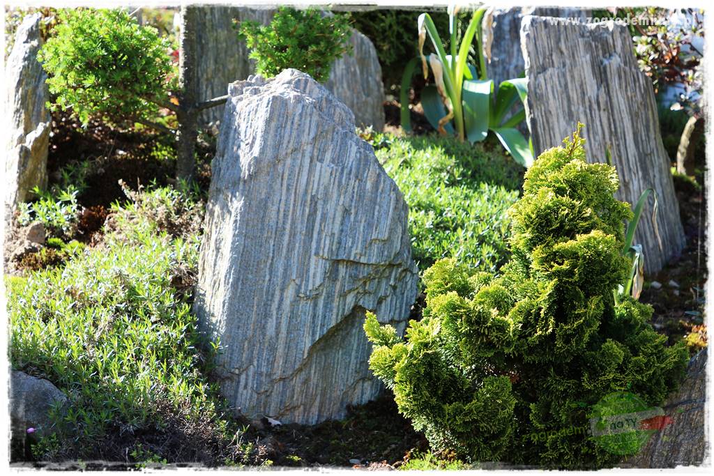 ogród na skarpie 318