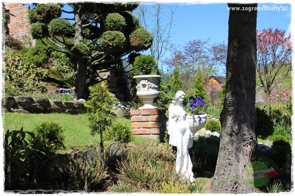 ogród na skarpie 320