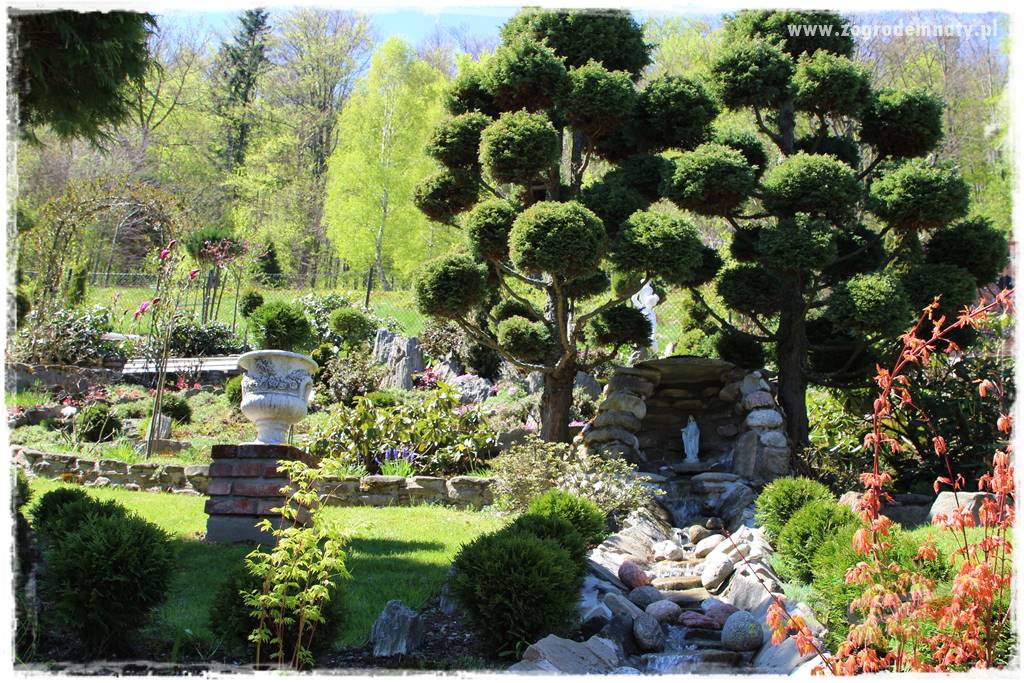 ogród na skarpie 321