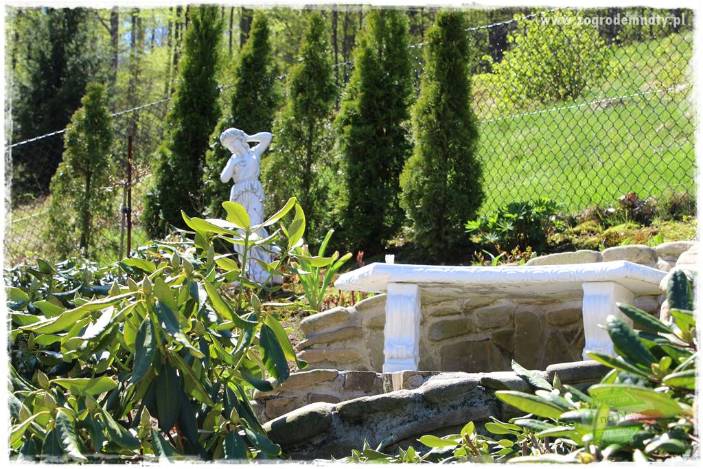 ogród na skarpie 322