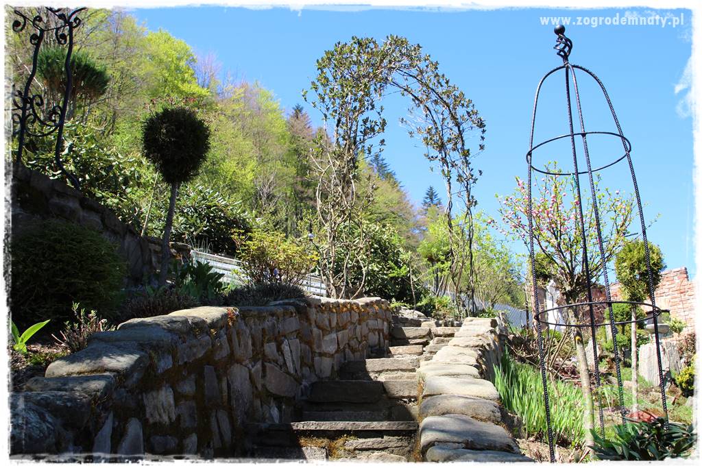 ogród na skarpie 323