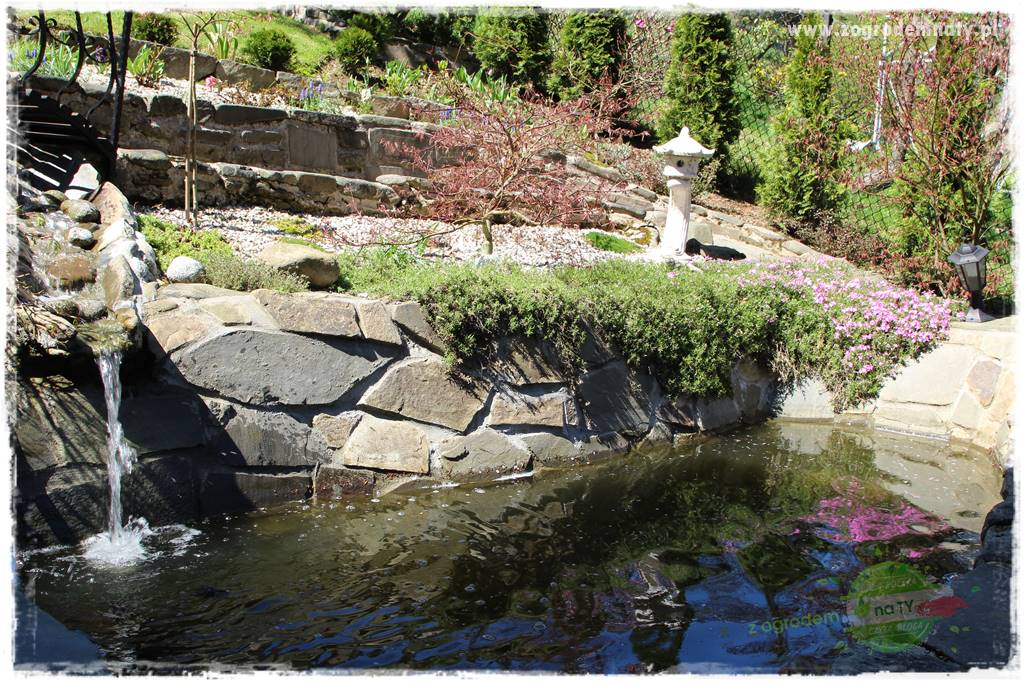 ogród na skarpie 324