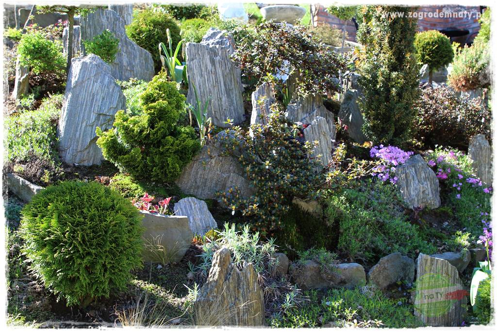 ogród na skarpie 325