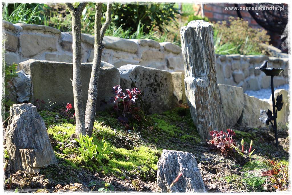ogród na skarpie 326