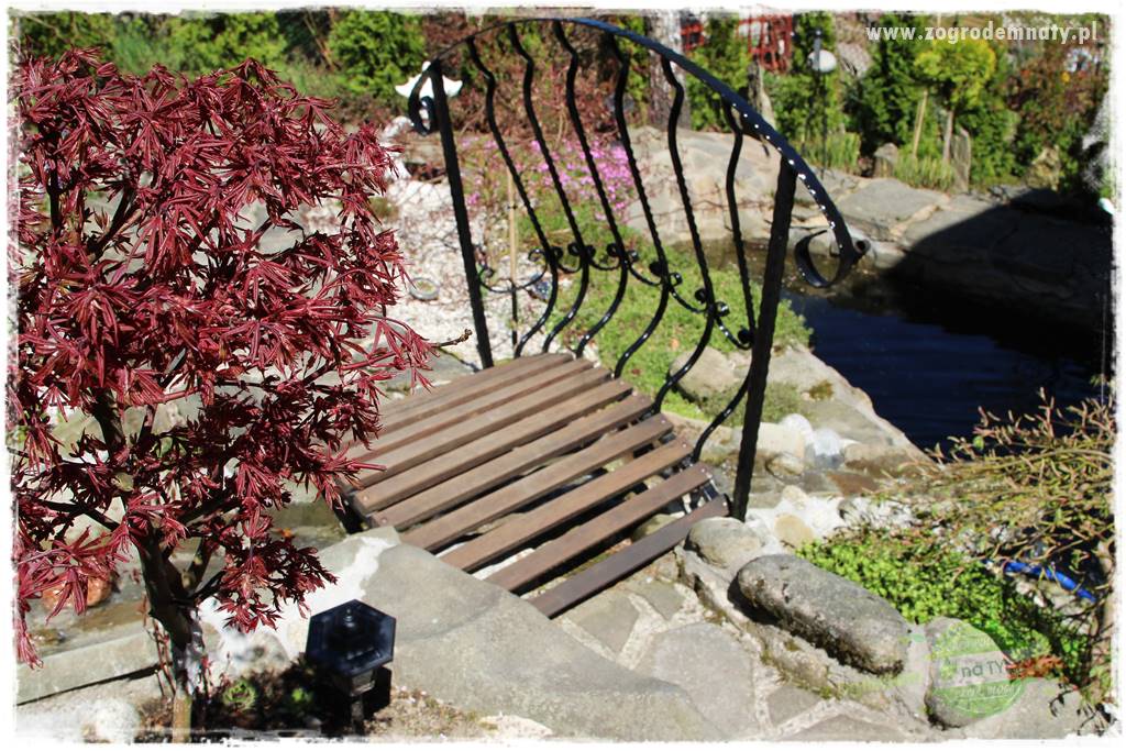 ogród na skarpie 328