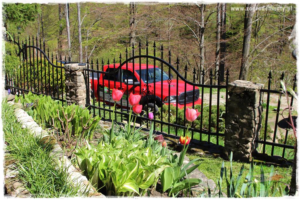 ogród na skarpie 33