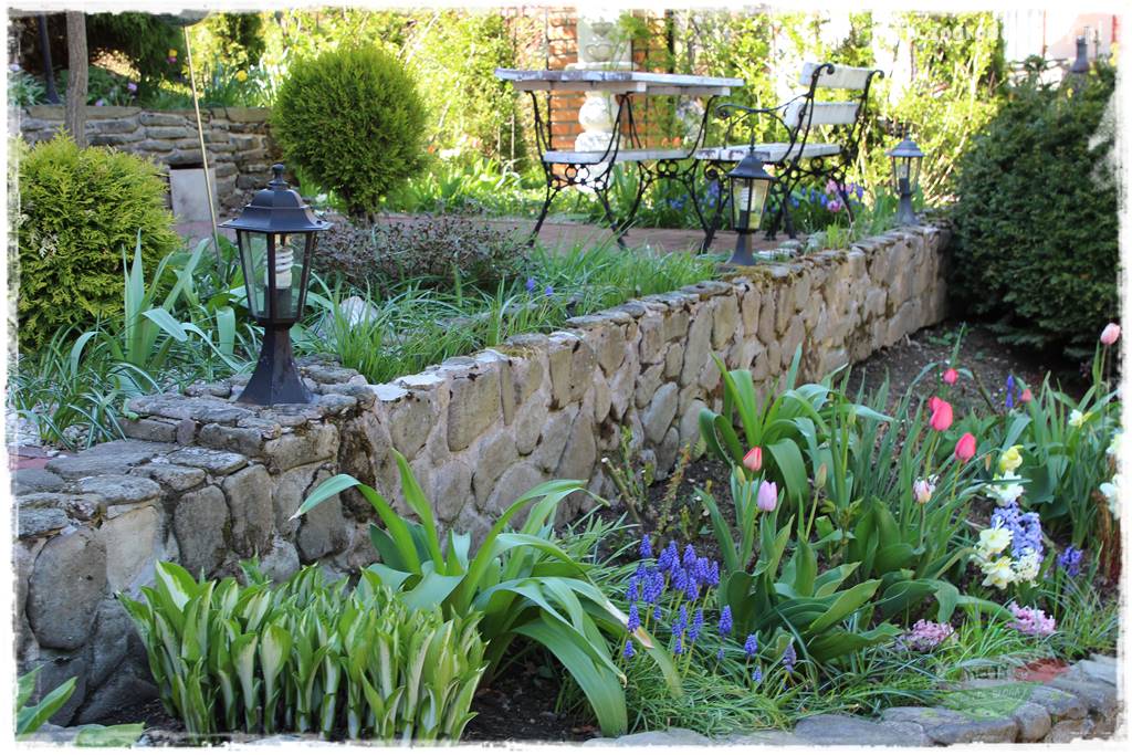 ogród na skarpie 330