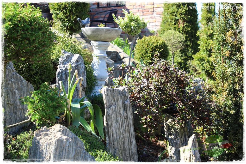 ogród na skarpie 331