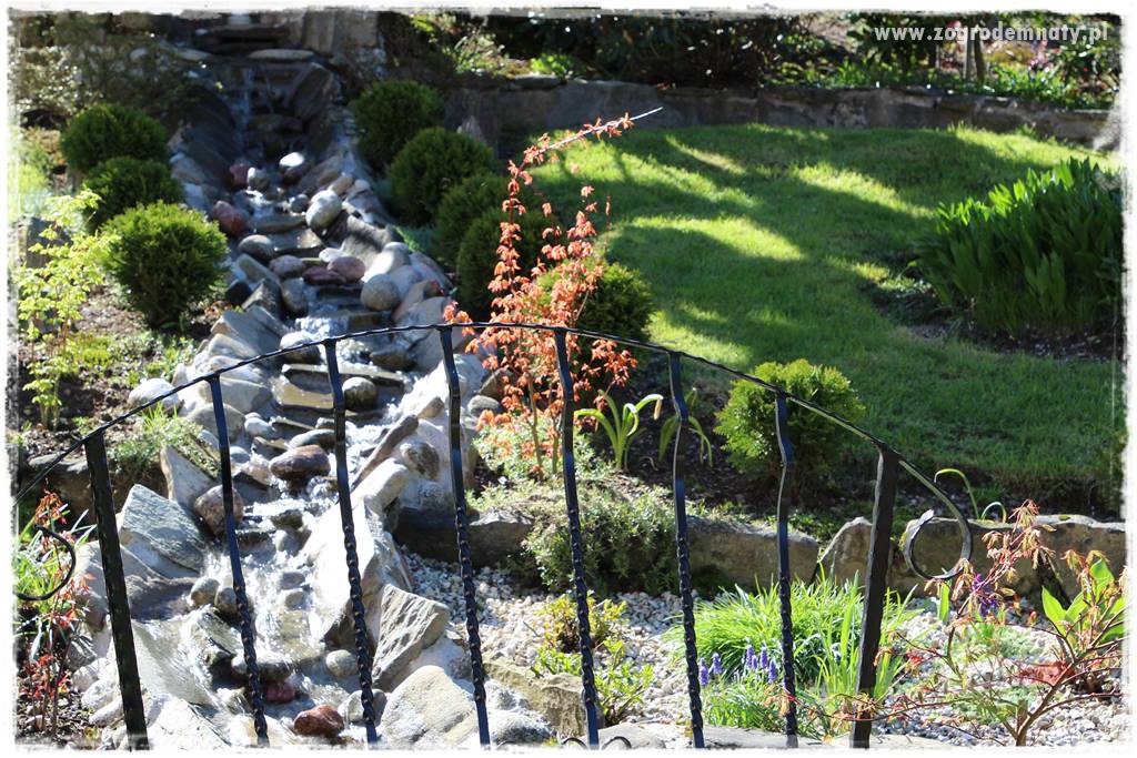 ogród na skarpie 35