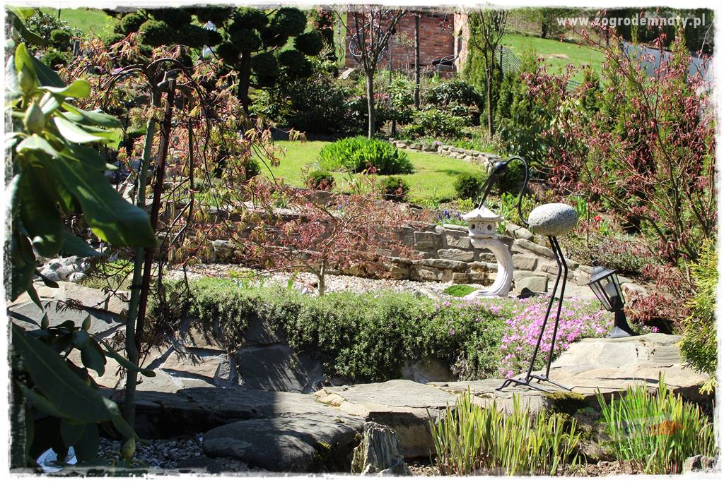 ogród na skarpie 8