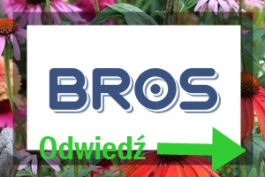 partner postu BLOG bros partner postu BLOG bros