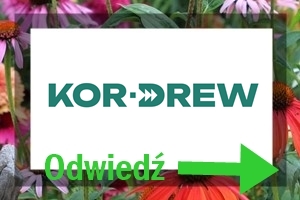 partner postu BLOG kor drew partner postu BLOG kor drew