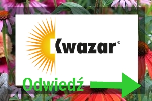 partner postu BLOG kwazar partner postu BLOG kwazar