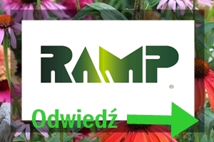 partner postu BLOG ramp partner postu BLOG ramp