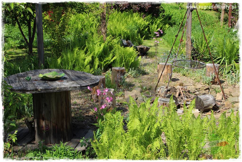 pomysły na grilla 5 pomysły na grilla 5